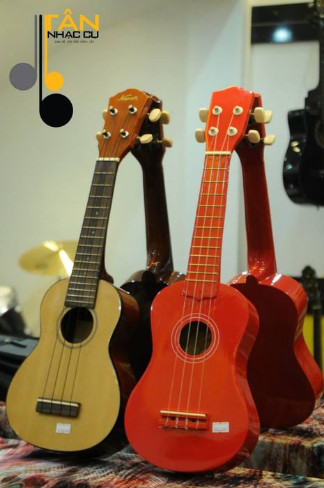 Tan Musical Instruments image 1
