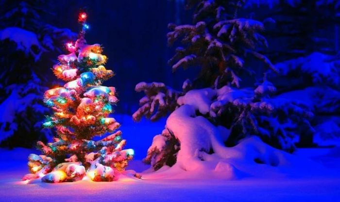 Hình nền cây thông Noel cho máy tính với nhiều màu sắc rực rỡ và sinh động