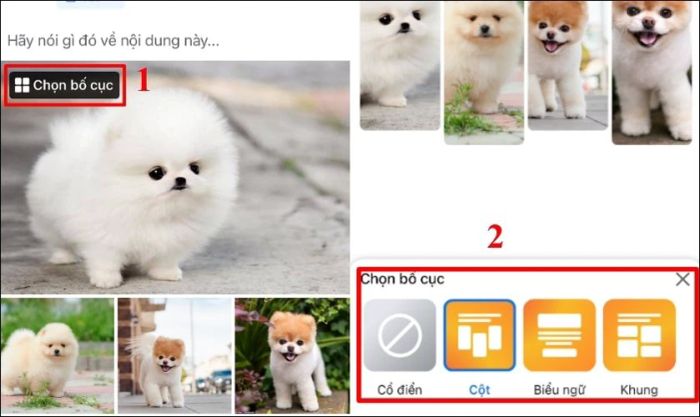 Nhấn vào Chọn bố cục ảnh trên Facebook