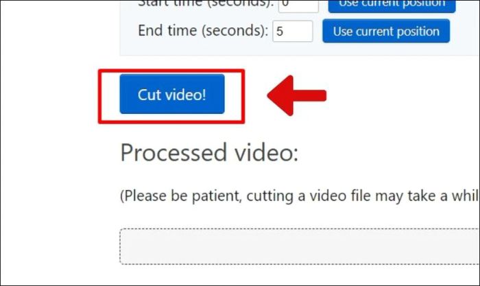 Nhấn Cut video để bắt đầu quá trình chỉnh sửa