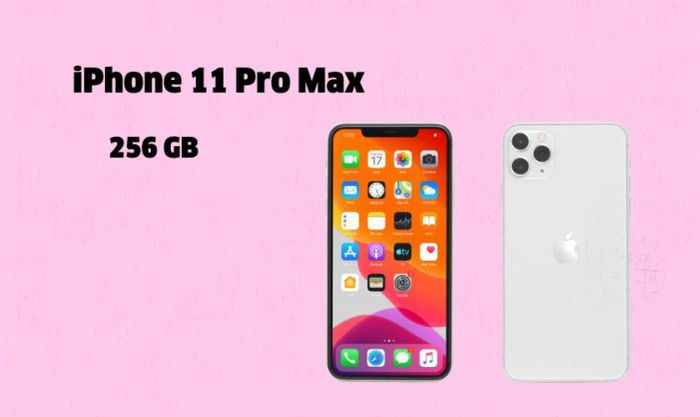 iPhone 11 Pro Max 256GB - Cũ trầy xước