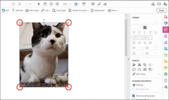 Điều chỉnh vị trí, kích thước hoặc xoay ảnh trước khi thêm vào file
