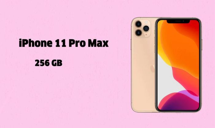iPhone 11 Pro Max 256GB - Cũ đẹp