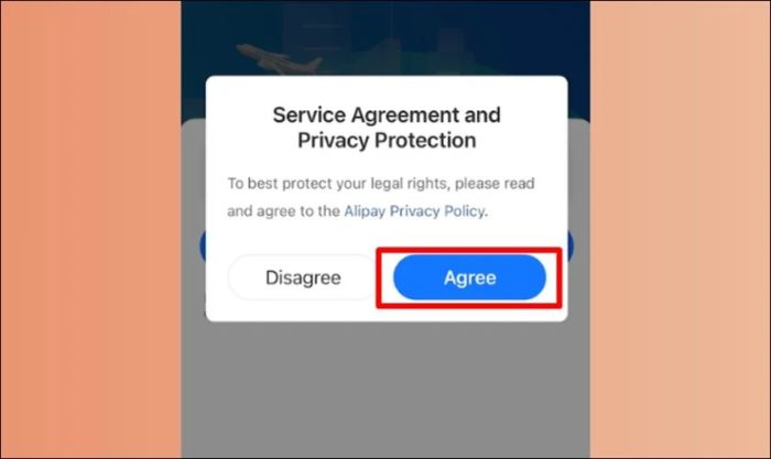 Nhấn Agree để đồng ý với các điều khoản và chính sách của nhà cung cấp dịch vụ.