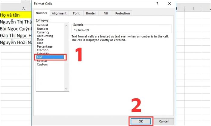 Trong tab Number, bạn chọn mục Category để thiết lập định dạng Text