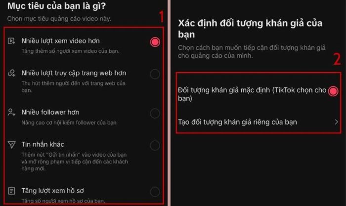 Chọn mục tiêu quảng cáo phù hợp, nhấn Tiếp, xác định đối tượng khán giả và chọn Tiếp