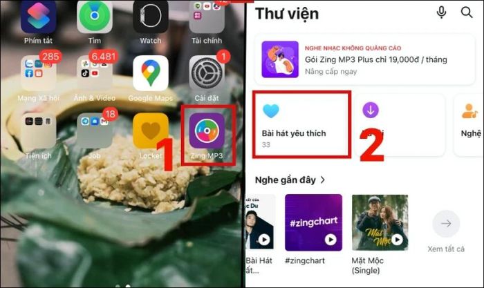 Hướng dẫn xóa nhạc khỏi dữ liệu hệ thống trên iPhone.