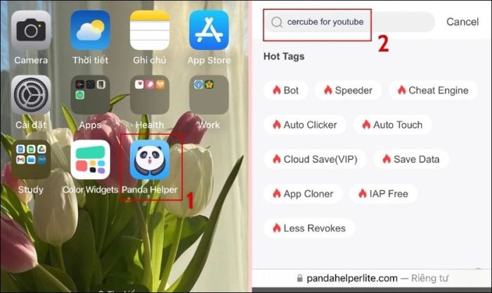 Điều hướng đến mục Apps và tìm kiếm Cercube for YouTube