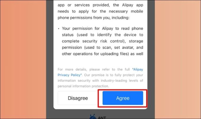 Mở ứng dụng Alipay và nhấn Agree để đồng ý với các điều khoản sử dụng dịch vụ.