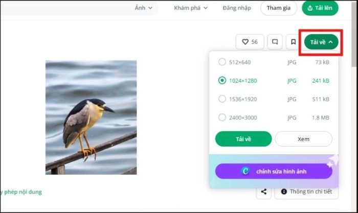 Nhấn tải ảnh về máy tính