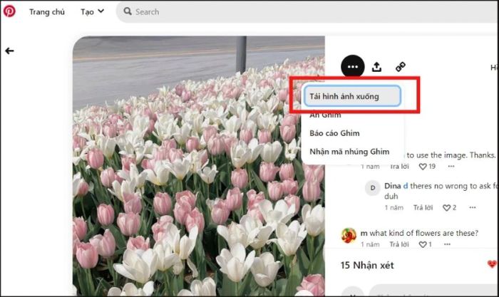 Hướng dẫn lưu ảnh từ Pinterest về máy tính