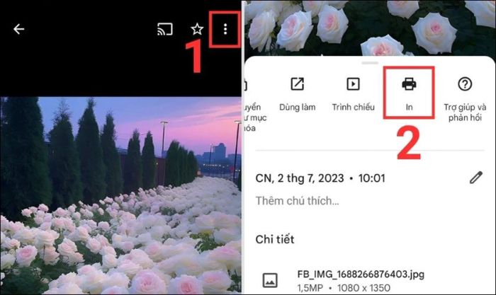 Hướng dẫn tạo file PDF trên điện thoại Android bằng Google Photos
