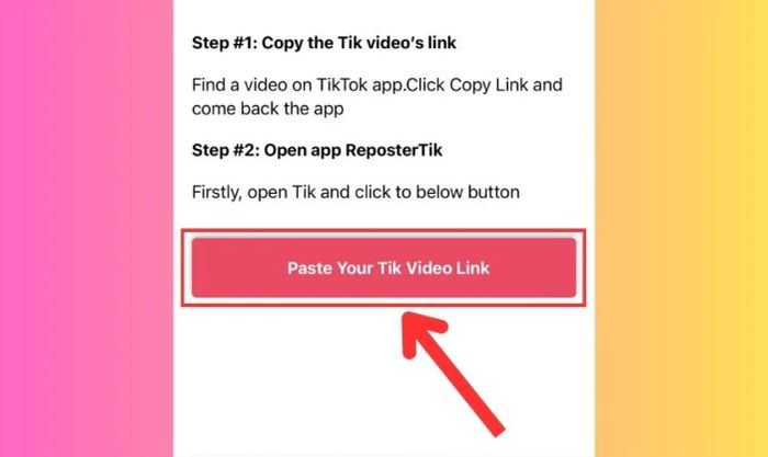 Nhấn vào Paste Your Tik Video Link trên ứng dụng ReposterTik