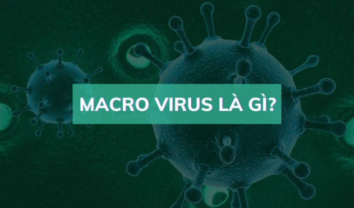 Virus macro trong Excel là mã độc được lập trình bằng ngôn ngữ macro