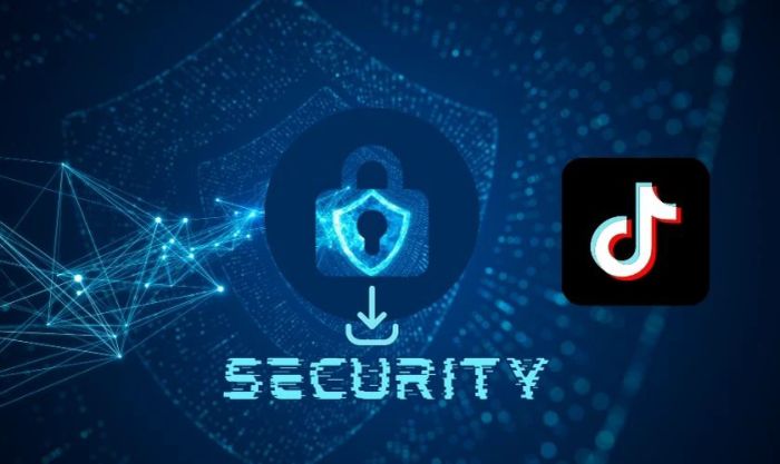 Những điều cần lưu ý trước khi xóa logo TikTok