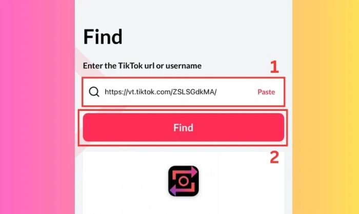 Nhấn Find để tiếp tục sử dụng TikSaver loại bỏ logo