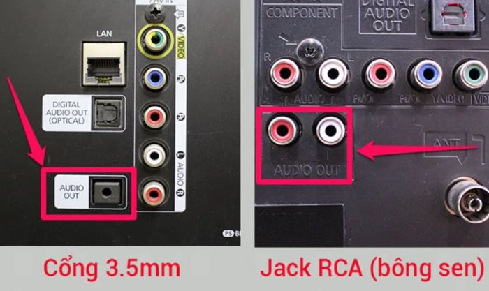 Hướng dẫn kết nối loa kéo với tivi bằng jack hoặc jack RCA