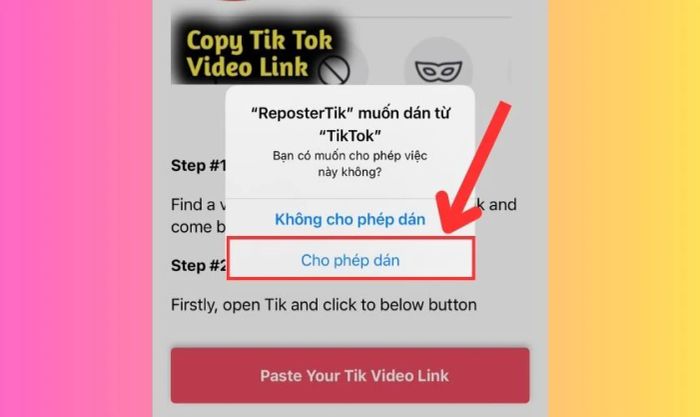 Nhấn vào Cho phép dán trên ứng dụng ReposterTik