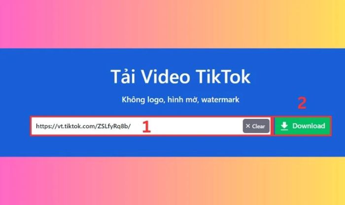 Dán liên kết video TikTok vào trang web SnapTik