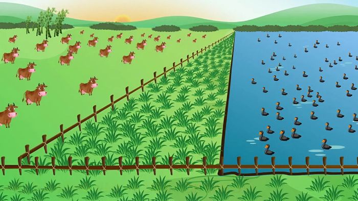 Ứng dụng thực tiễn của công thức Heron