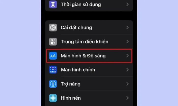 giao diện phần màn hình & độ sáng trong ứng dụng cài đặt trên iPhone