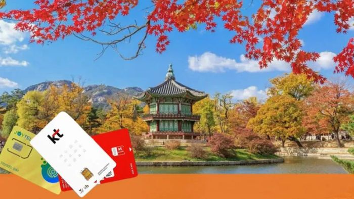 Purchasing a travel SIM card for South Korea makes your trip more convenient and enjoyable.