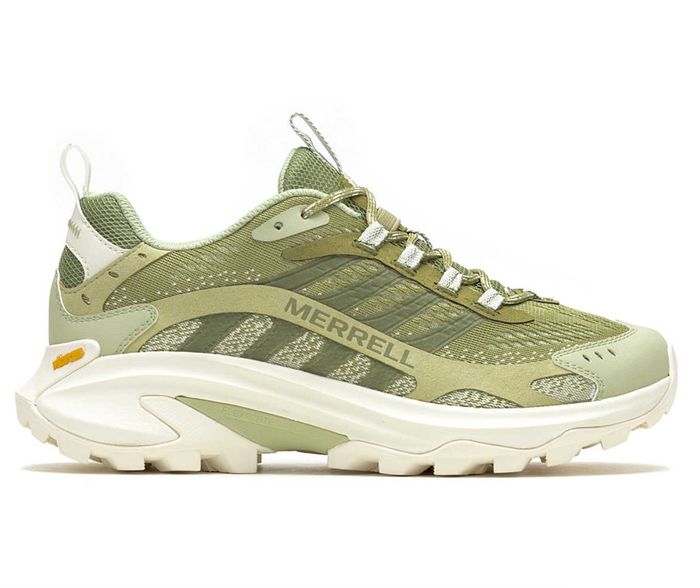 The green sneaker