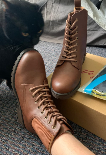 A pair of brown lace-up ankle boots on someone’s feet, positioned next to a black cat and a cardboard box.