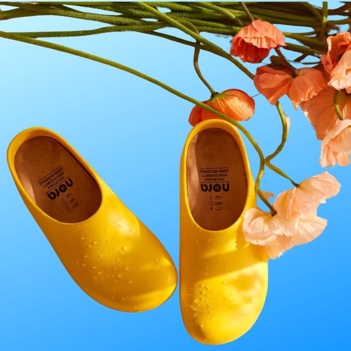 The yellow clog