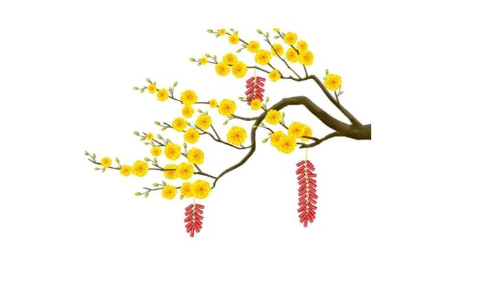 Biểu tượng hoa mai Tết và chùm pháo