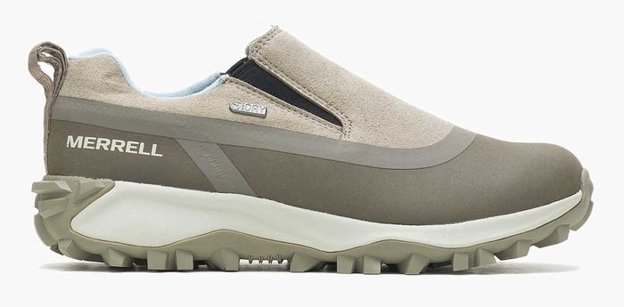 Brindle Shoe