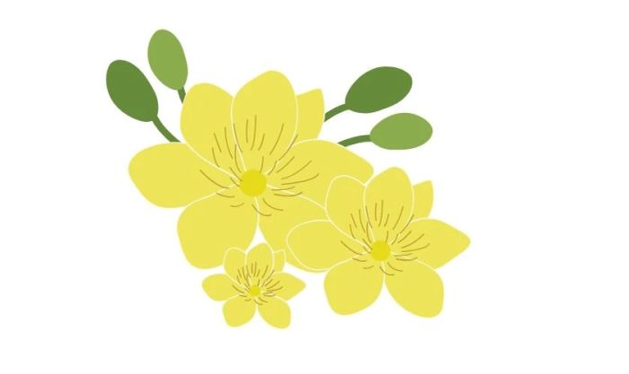 Biểu tượng hoa mai Tết đẹp mắt