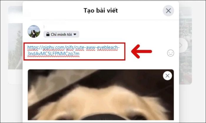 Dán đường link đã sao chép vào bài viết