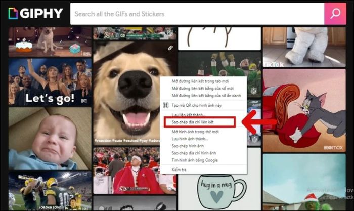 Hướng dẫn đăng ảnh động lên Facebook thông qua web GIPHY