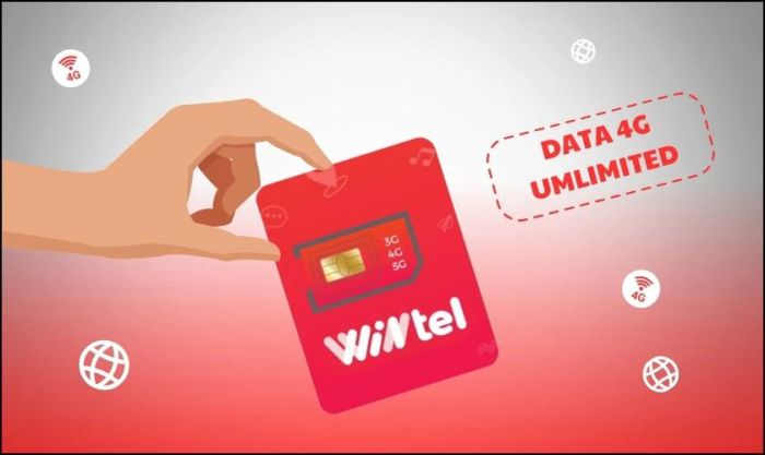 SIM Wintel là loại SIM gì?