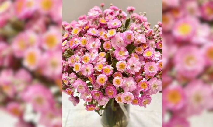 Mẫu cắm hoa tầm xuân ngày Tết 2025 đẹp và rực rỡ