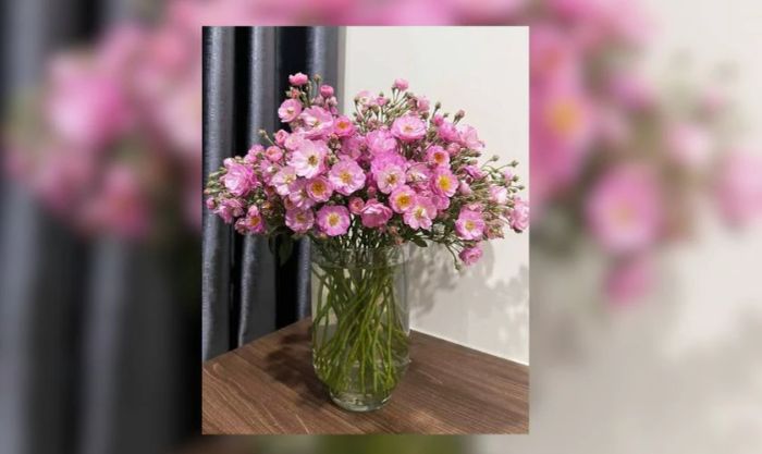 Mẫu cắm hoa tầm xuân ngày Tết 2025 đẹp và tinh tế