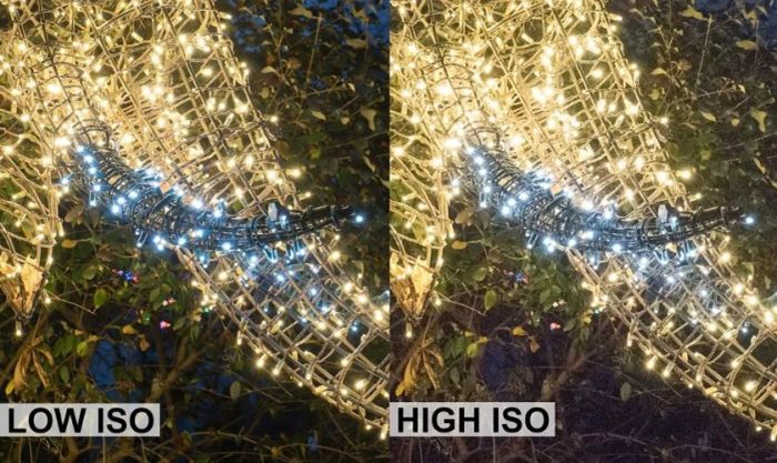 Thiết lập ISO cao để cho ra bức ảnh chất lượng tốt nhất