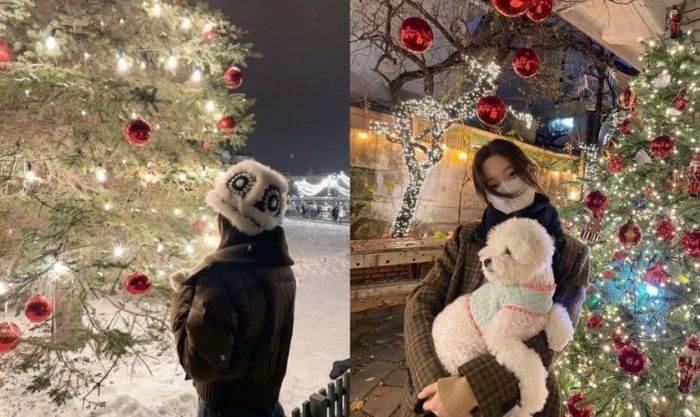 Tạo dáng chụp ảnh ngoại cảnh cùng thú cưng ngày Noel