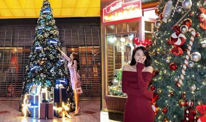 Tạo dáng chụp ảnh cùng cây thông Noel