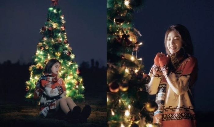 Tạo dáng chụp ảnh ngoại cảnh cùng cây thông Noel