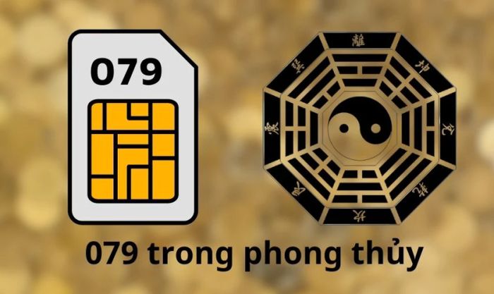 ý nghĩa phong thủy của đầu số 079 là gì?