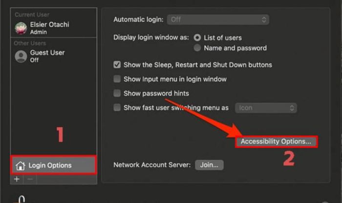Tiếp theo, bạn chọn mục Login Options và nhấn vào Accessibility Options…