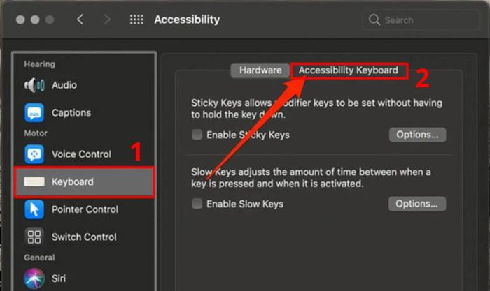 Sau đó, bạn nhấn vào tab Accessibility Keyboard
