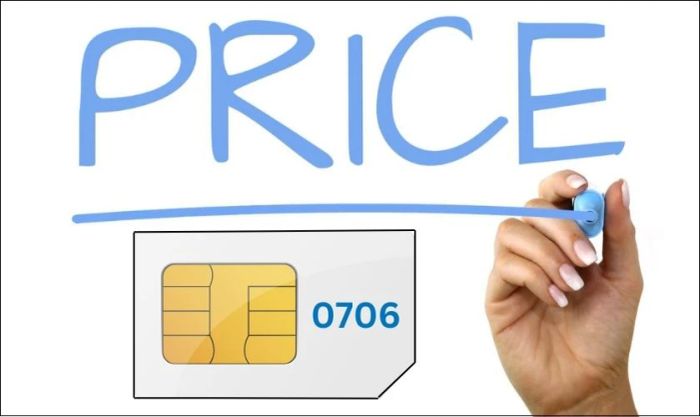 Mức giá phù hợp cho đầu số 0706 là gì?