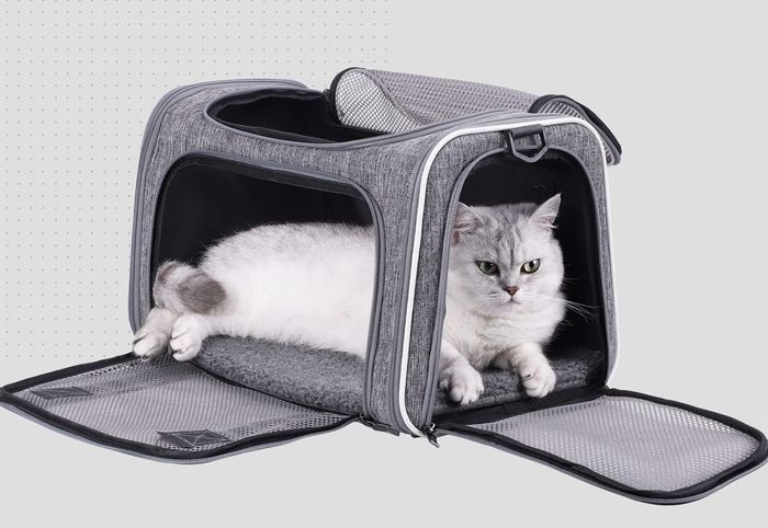The gray pet carrier