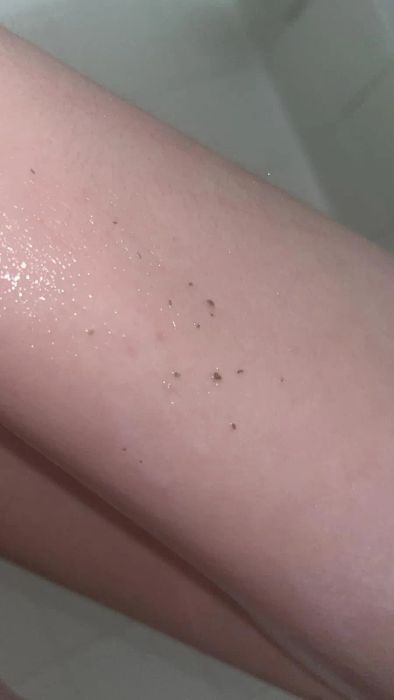 the sebum extracted from the reviewer's pores