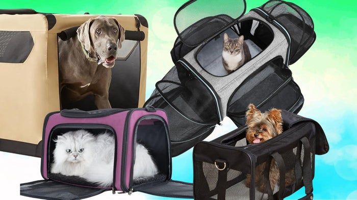 A variety of pet carriers