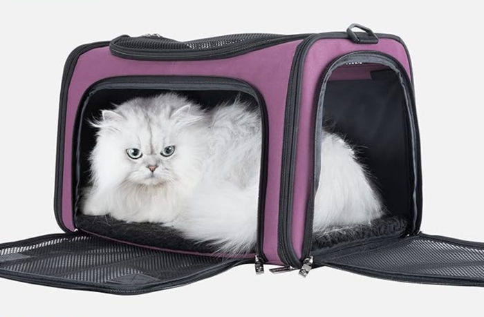 A fluffy white Persian cat relaxing in a purple carrier with mesh doors wide open