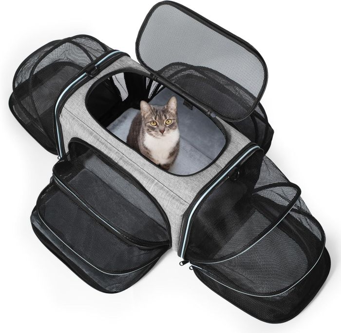 A cat comfortably resting inside the gray carrier